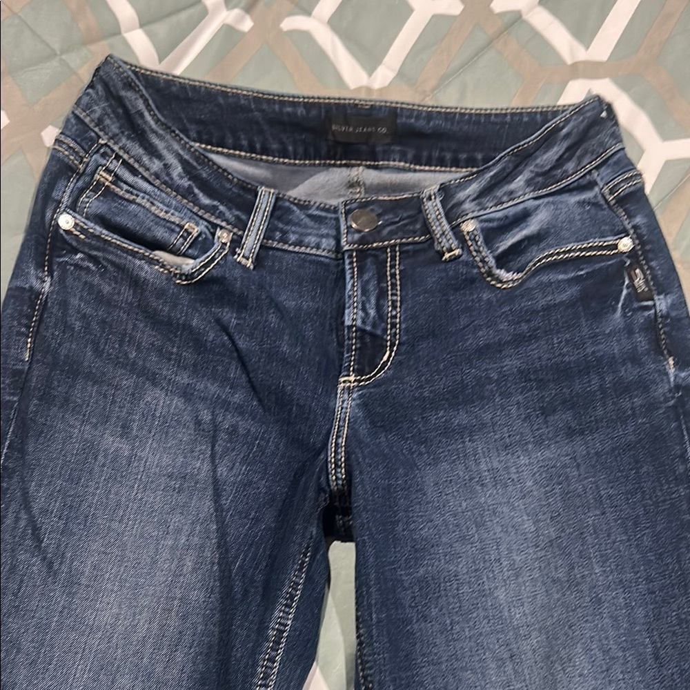 Silver Jeans Co. Dark Blue Skinny Jeans